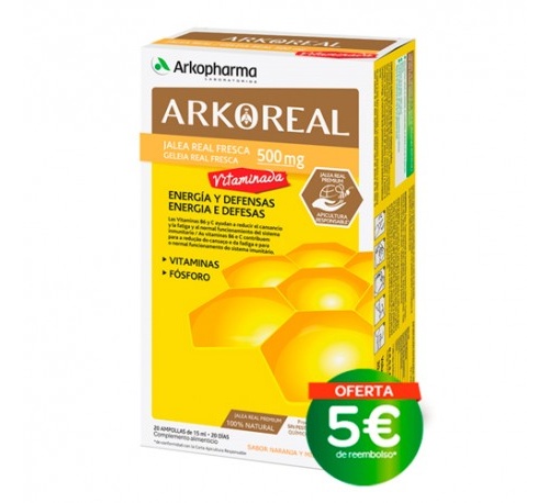 Arkoreal jalea real vitaminada 500 (20 ampollas)