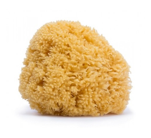 Suavinex esponja natural grande