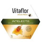 Vitaflor jalea real intelecto 20 viales (500mg)